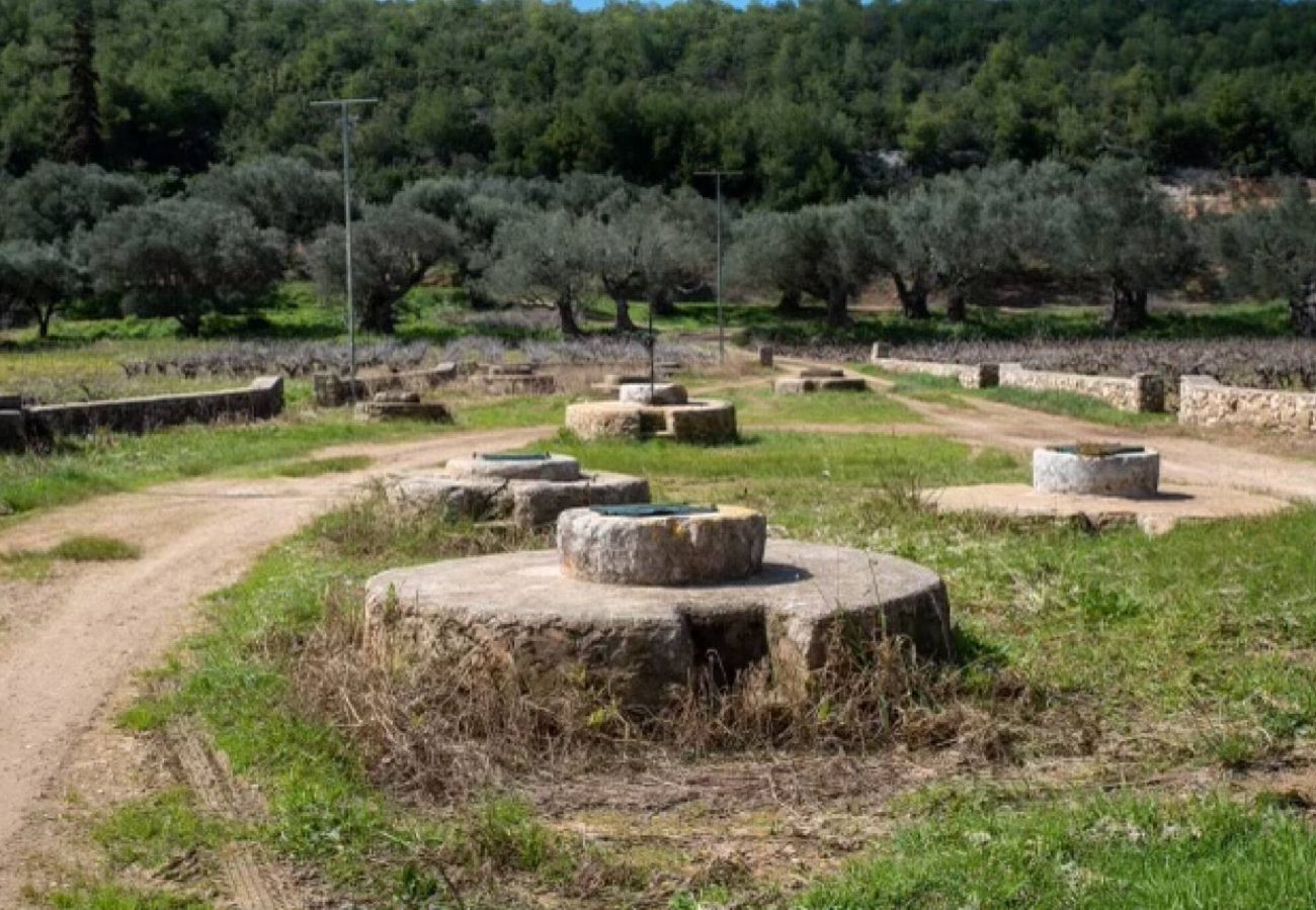 Villa in Zakinthos - Villa Fragiata, A Signature Green Sanctuary
